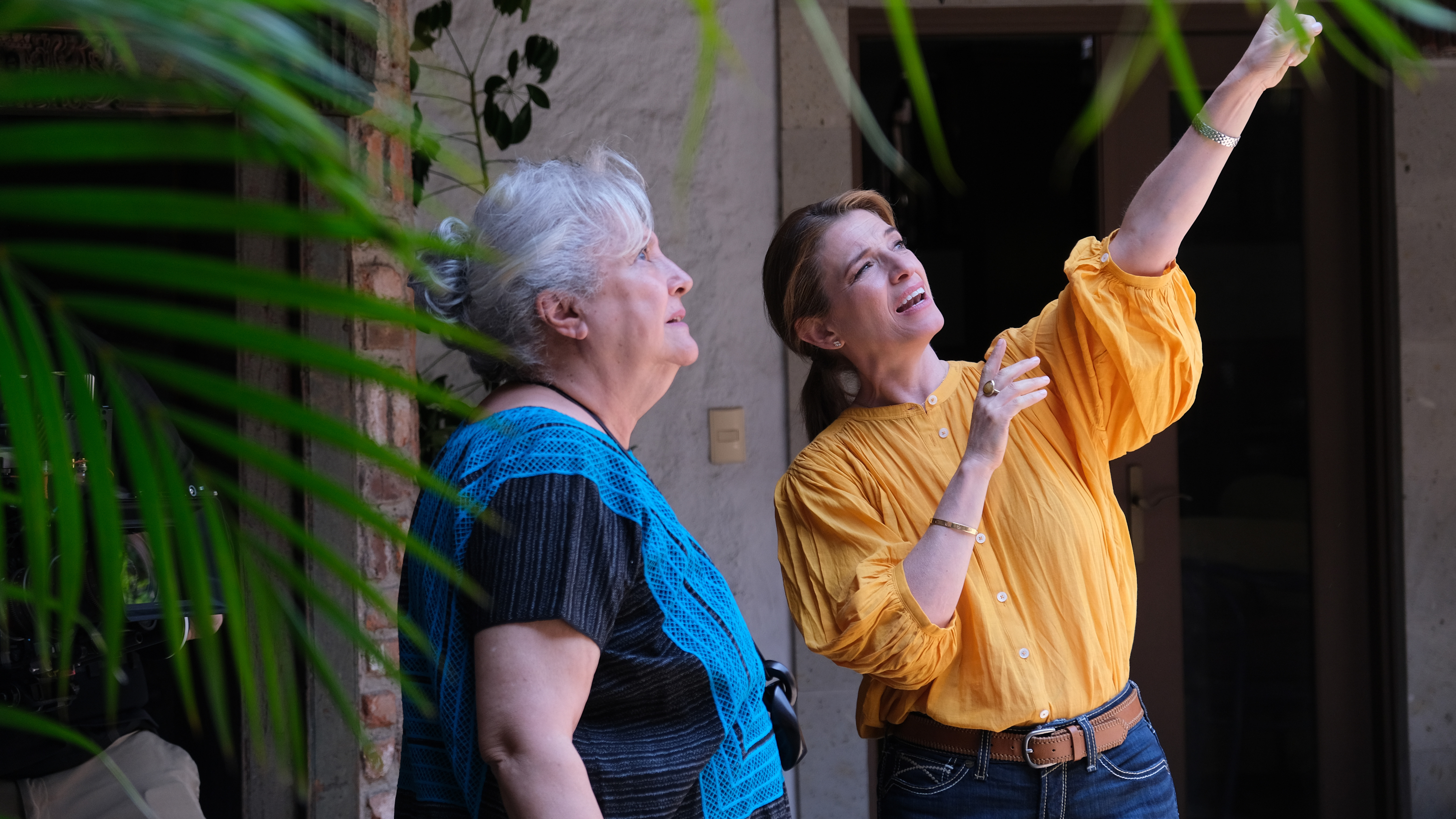 Season 14 will also be available for streaming online.